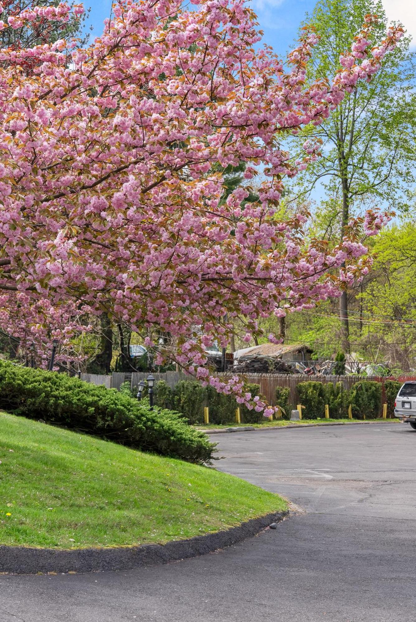 Ardsley Acres Hotel Court Dış mekan fotoğraf